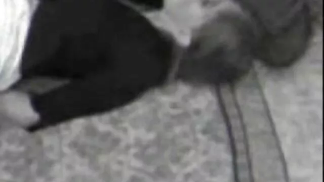 Πορνό χωρίς εγγραφή  Δύο μαμάδες διάολο ένας gamisi erasitexniko νεαρός στο κρεβάτι